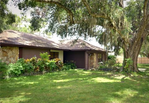 Photo of 1825 Streetman Drive, Lithia, FL 33547 (MLS # TB8440845)