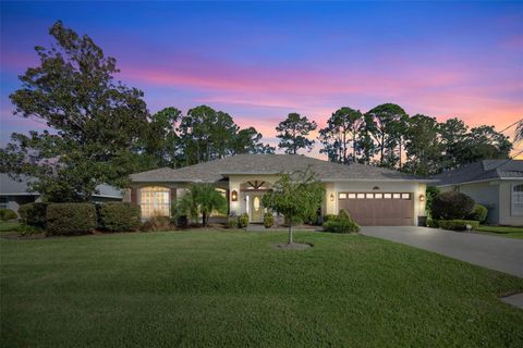 A home in PALM COAST