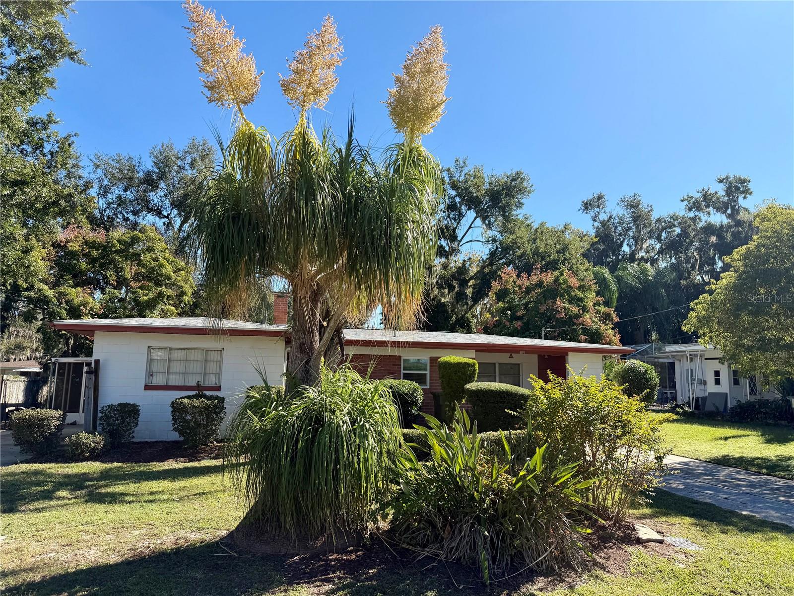 LEESBURG BEACH GROVE - Residential