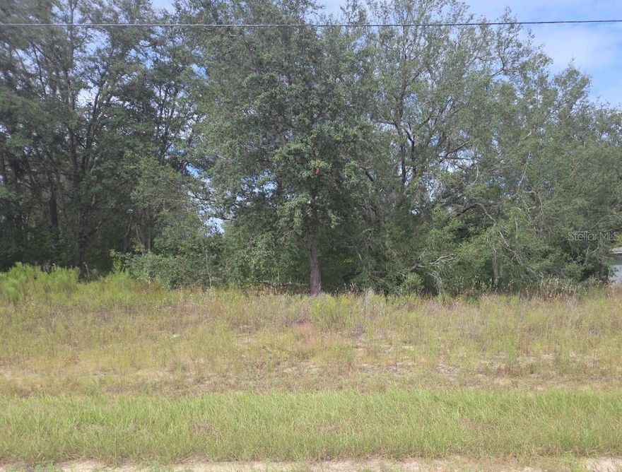Come and build your next home here!!! This lot has county water and power! Enjoy this perfect location-just minutes from Dunnellon, a short drive to Crystal River, and close to some of Florida's most beautiful springs and top fishing spots!