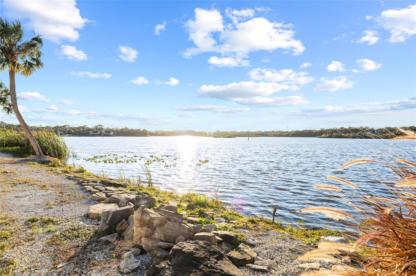 BONITA VISTA - Residential