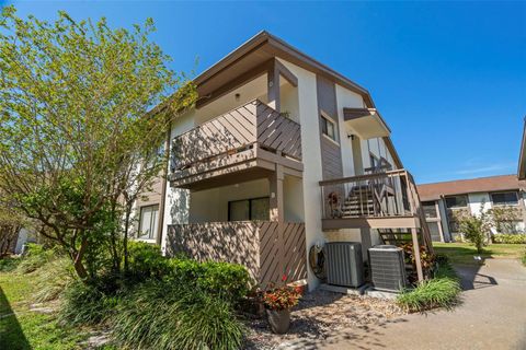 A home in SAFETY HARBOR