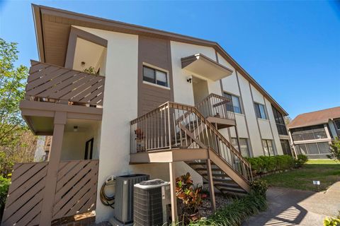 A home in SAFETY HARBOR