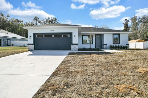 Photo of 7604 SW 103rd Loop, Ocala, FL 34476 (MLS # OM703297)