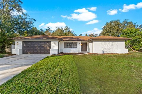 A home in ORLANDO