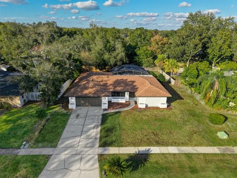 A home in ORLANDO