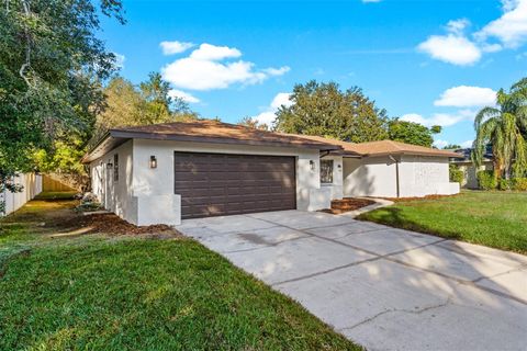 A home in ORLANDO