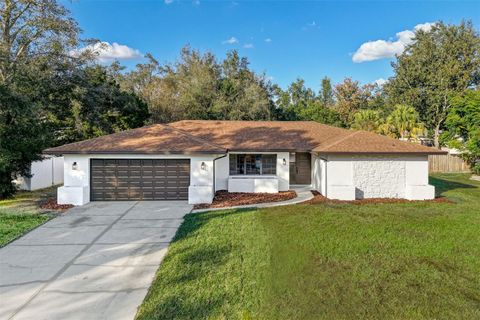 A home in ORLANDO