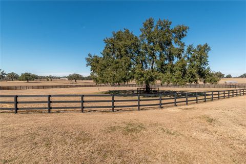 Tiny photo for 12610 NW Gainesville Road, Reddick, FL 32686 (MLS # OM718115)
