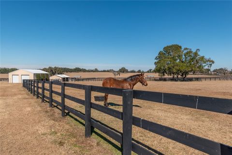 Tiny photo for 12610 NW Gainesville Road, Reddick, FL 32686 (MLS # OM718115)