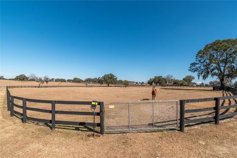 Tiny photo for 12610 NW Gainesville Road, Reddick, FL 32686 (MLS # OM718115)