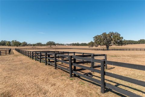 Tiny photo for 12610 NW Gainesville Road, Reddick, FL 32686 (MLS # OM718115)