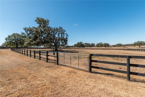 Tiny photo for 12610 NW Gainesville Road, Reddick, FL 32686 (MLS # OM718115)