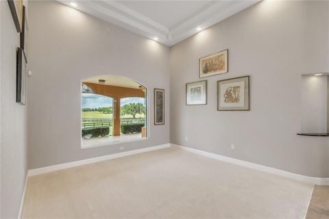 Tiny photo for 12610 NW Gainesville Road, Reddick, FL 32686 (MLS # OM718115)