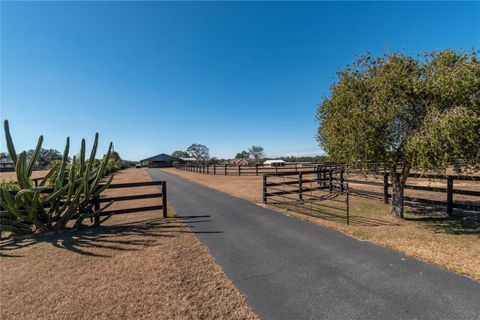 Tiny photo for 12610 NW Gainesville Road, Reddick, FL 32686 (MLS # OM718115)