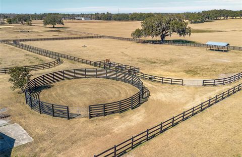 Tiny photo for 12610 NW Gainesville Road, Reddick, FL 32686 (MLS # OM718115)