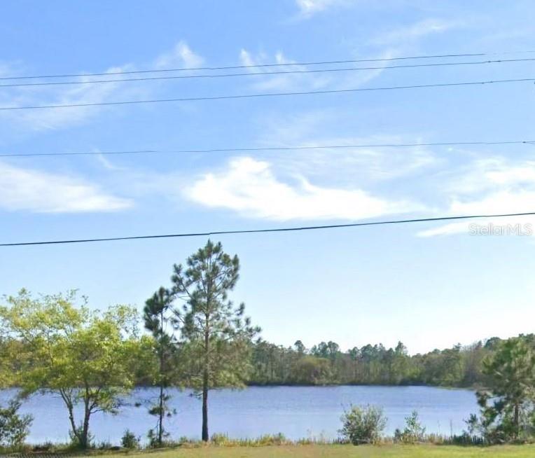 CHRISTMAS GARDENS 01 - Land