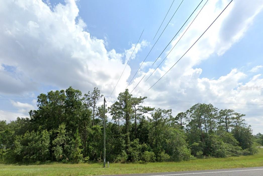 CHRISTMAS GARDENS 01 - Land