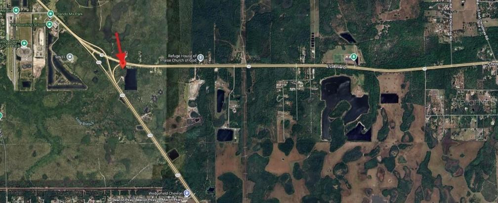 CHRISTMAS GARDENS 01 - Land