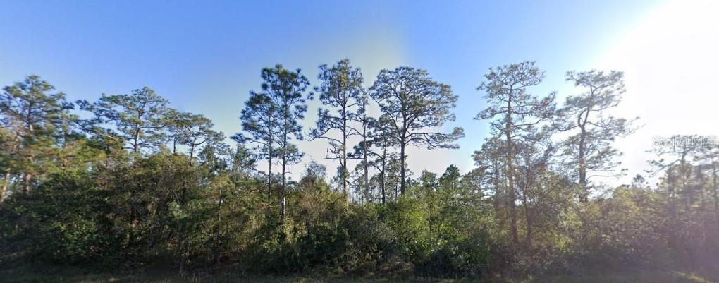 CHRISTMAS GARDENS 01 - Land