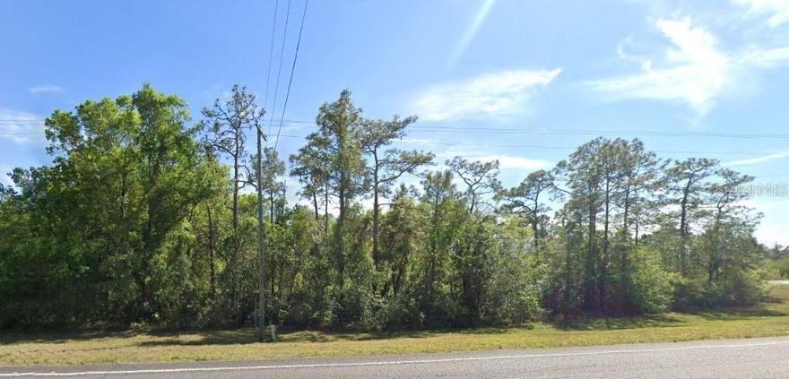 Stunning Must See ~ 1.71 Acre Lot ~ Zoned A-2! OUT OF THE FLOOD ZONE! Discover the Perfect Canvas for Your Dream Home or Vacation Retreat!! Scerne Pond Views!! NO HOA means Complete Freedom! Room for a Pool, RV, Detached Garage and Boat, Bring All the Toys!! Imagine the Possibilities for This Parcel with an Incredible Location!! Looking for an Investment Property or To Become Part of the Booming Florida Land Market? Here is Your Chance!! With the Right Vision and Development This Property Can Become a Very Valuable Asset! Enjoy Florida Wildlife and Tranquility Along with the Convenience of a Short Drive to Florida’s Gorgeous Beaches, Orlando Airport, Downtown Orlando, Schools, Shopping and So Much More! Make an Offer Today to Secure This Land as Your Own!! Clear Title Ready to Convey. Survey Complete & FDOT Approved DRIVEWAY Permit Complete!! ** No Wetland Mitigation Required **