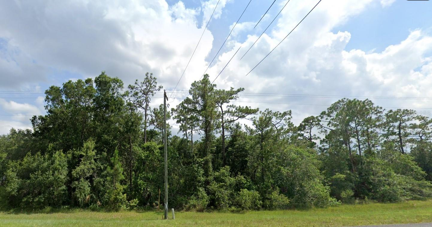 CHRISTMAS GARDENS 01 - Land