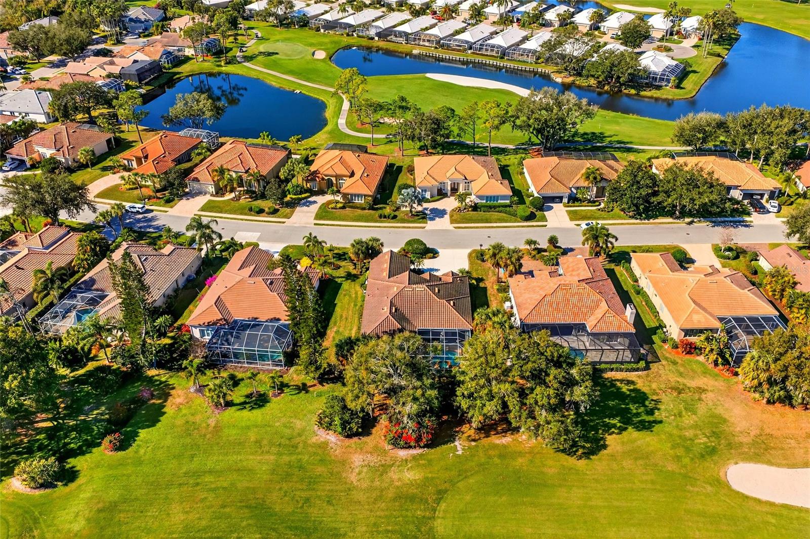 ROSEDALE 7 - Residential