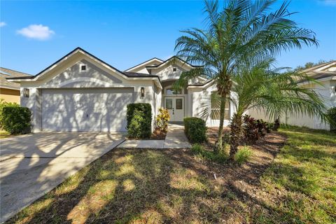 4710 LITTLE DENISE COURT VALRICO FL 33594