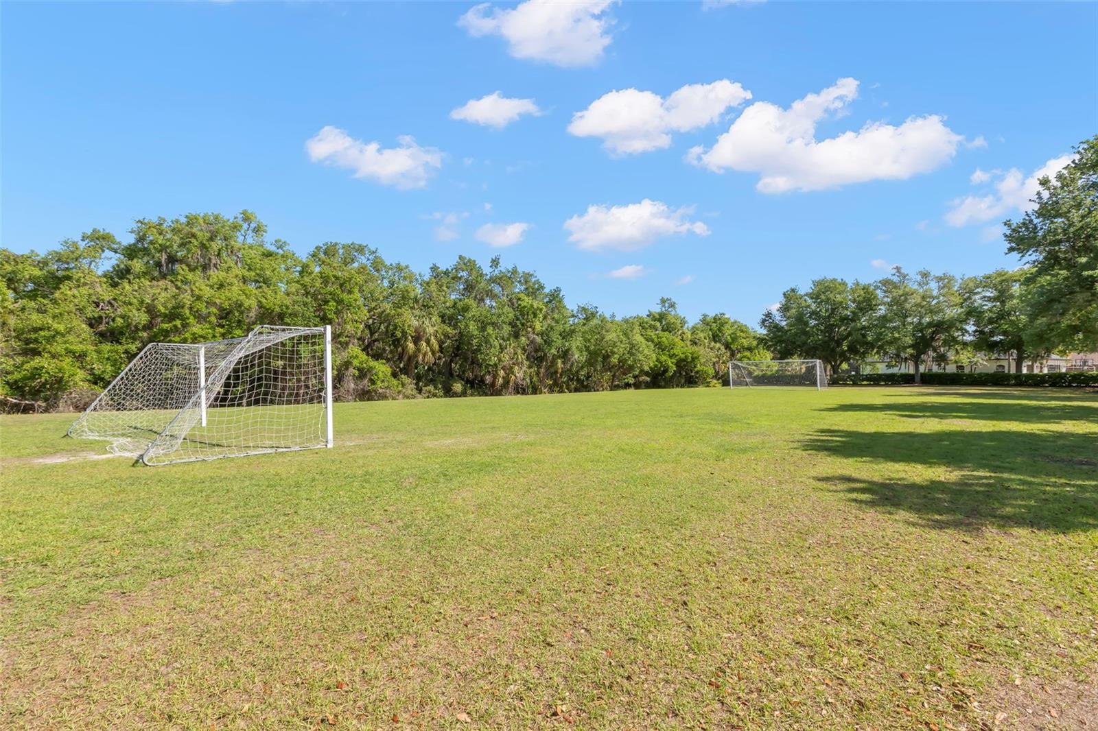 TWIN RIVERS PH I - Residential