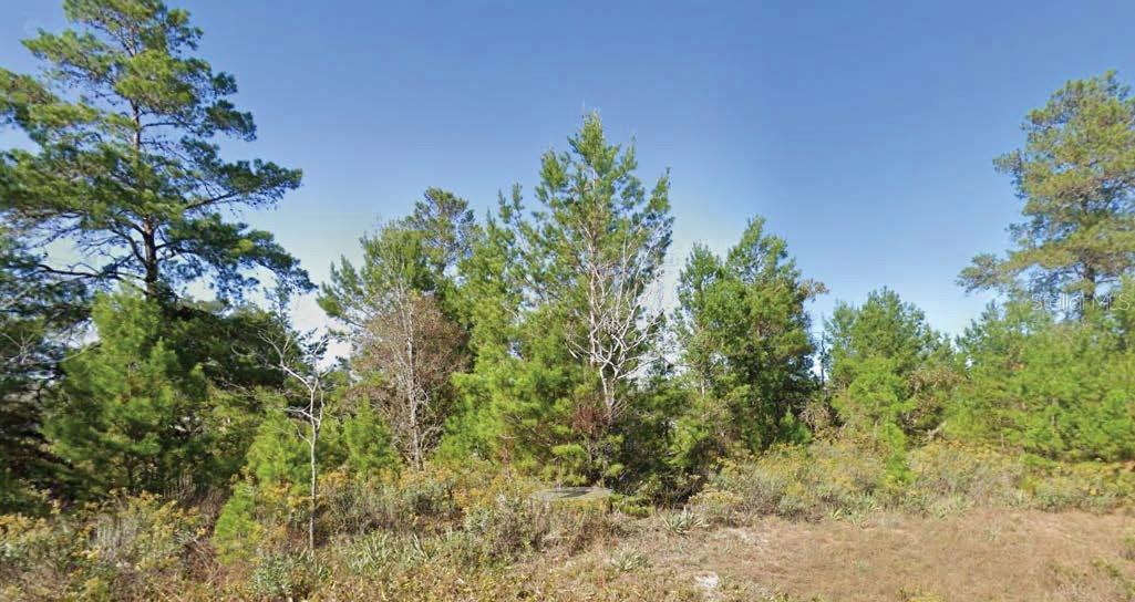 Located in the growing Sunny Hills community, this spacious lot provides a rare opportunity to build in a tranquil, wooded setting near the Boat Lake Swim Park and Sunny Hills Golf & Country Club. With paved road frontage and utilities available nearby, the lot offers both convenience and natural charm. All information is deemed reliable but should be independently verified.