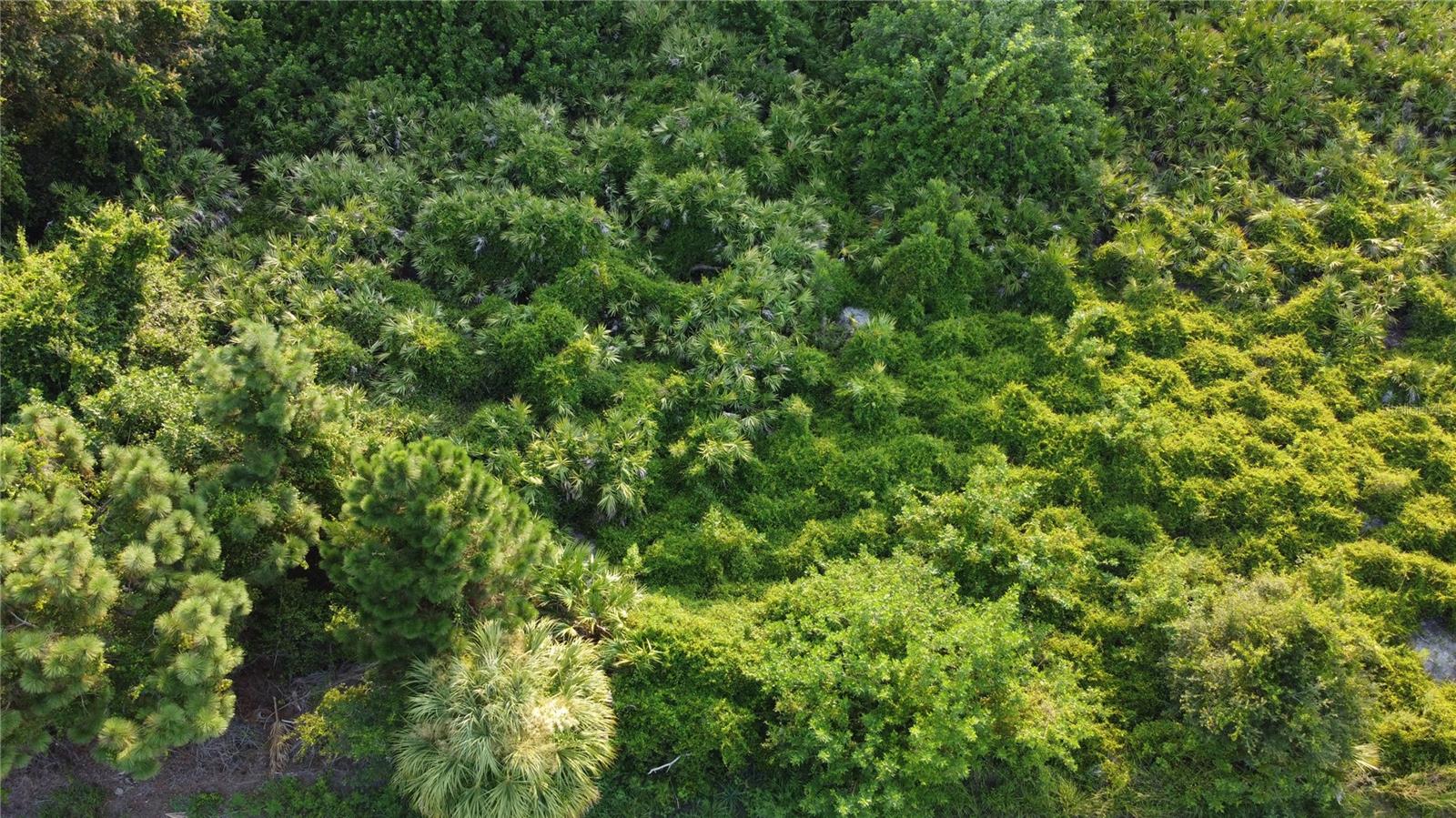 PORT CHARLOTTE SUB 26 - Land