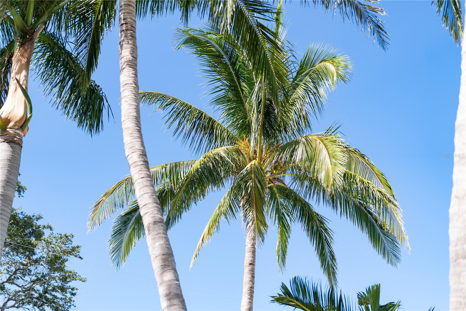 POINT PLEASANT - Residential