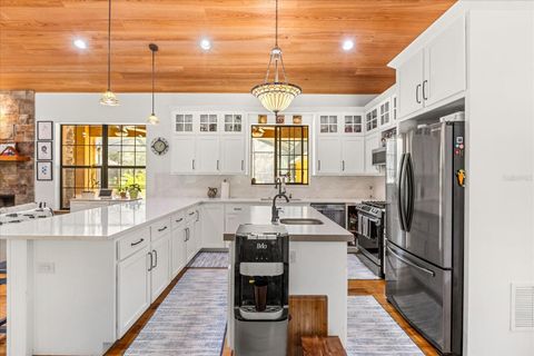 Tiny photo for 1084 SE 170th Street, Summerfield, FL 34491 (MLS # S5135175)