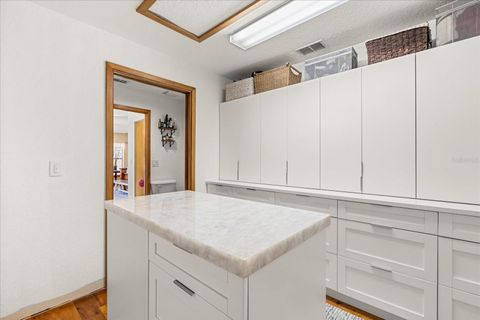 Tiny photo for 1084 SE 170th Street, Summerfield, FL 34491 (MLS # S5135175)