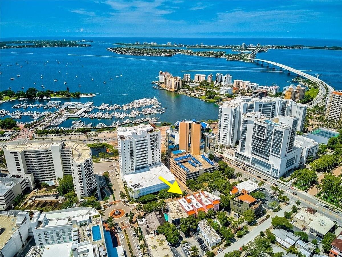 1221 N PALM AVENUE 204