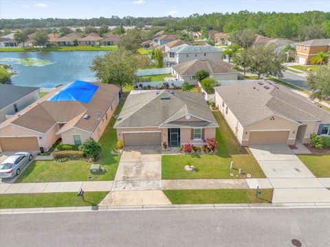 A home in MOUNT DORA