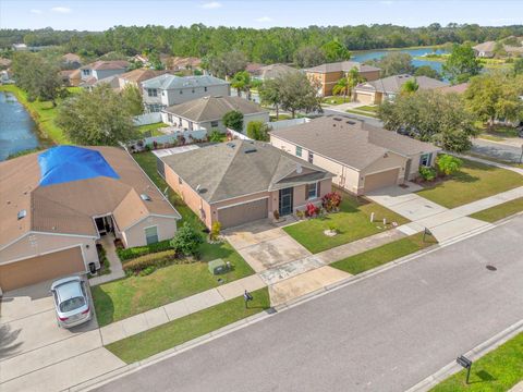 A home in MOUNT DORA