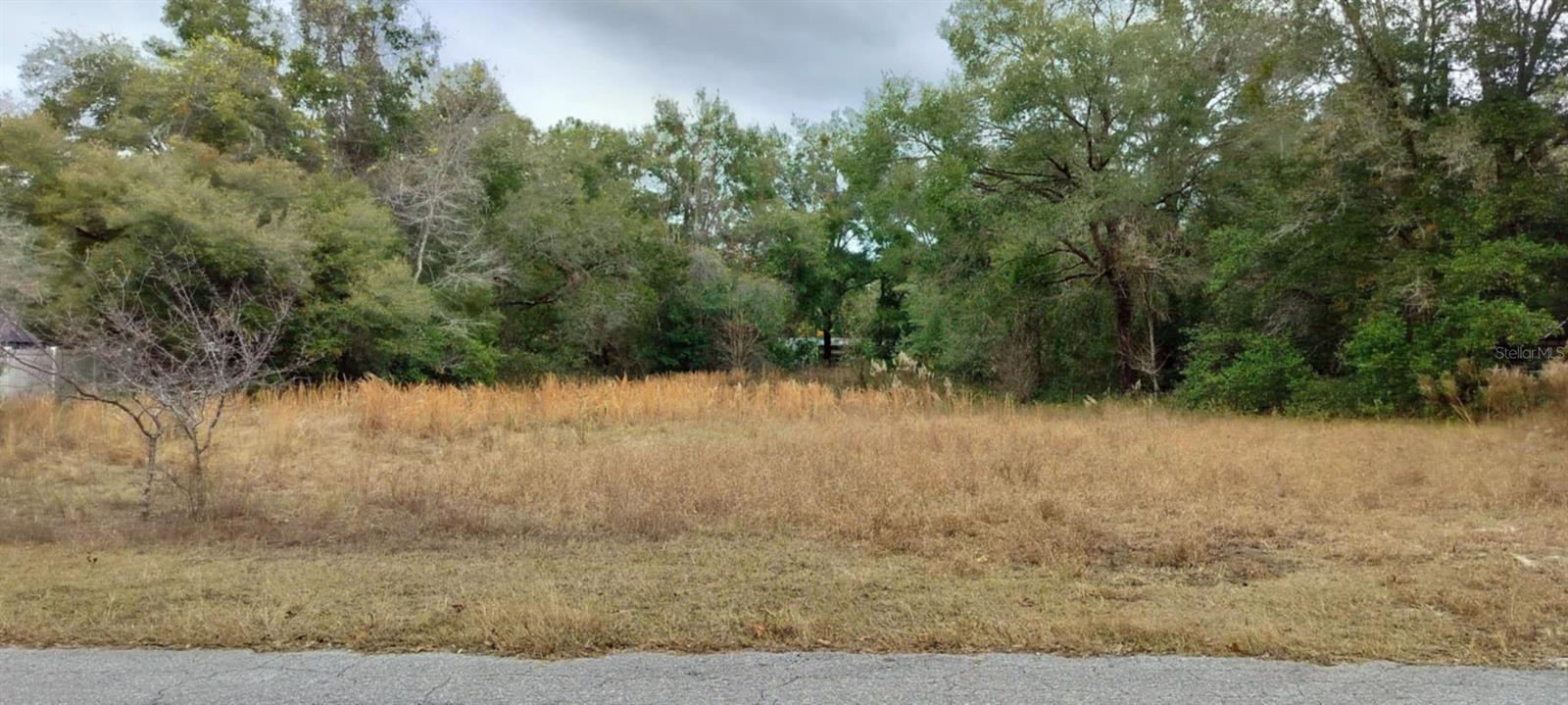 Come build your dream home on this .76 acre Home-Site in Inverness Highlands West. Existing Well and septic on property with a foundation for a site-built home.
