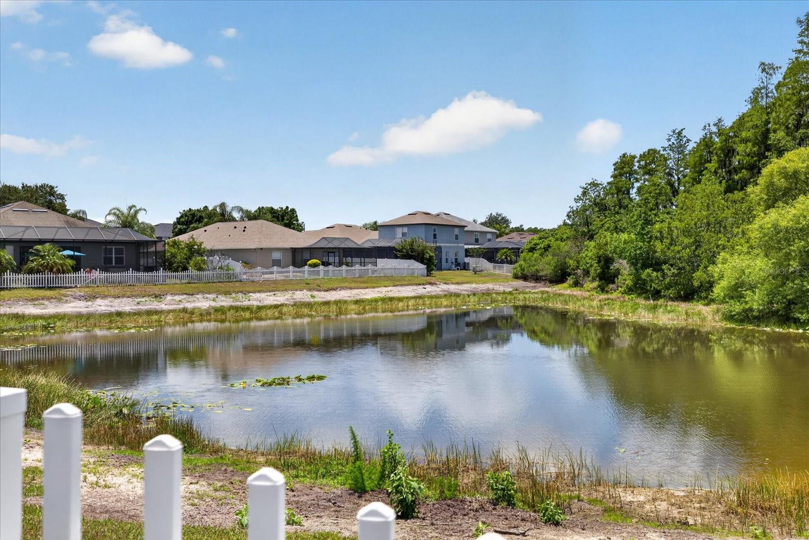 CONCORD STATION - Residential