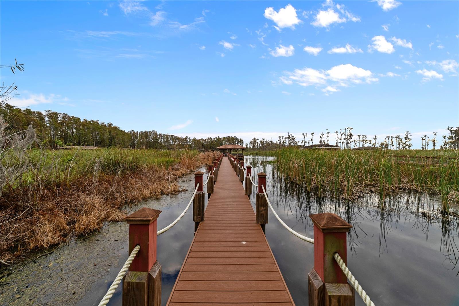 EMERSON POINTE - Residential