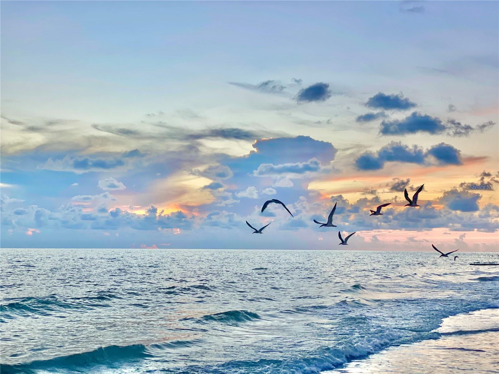 13720 GULF BOULEVARD 609