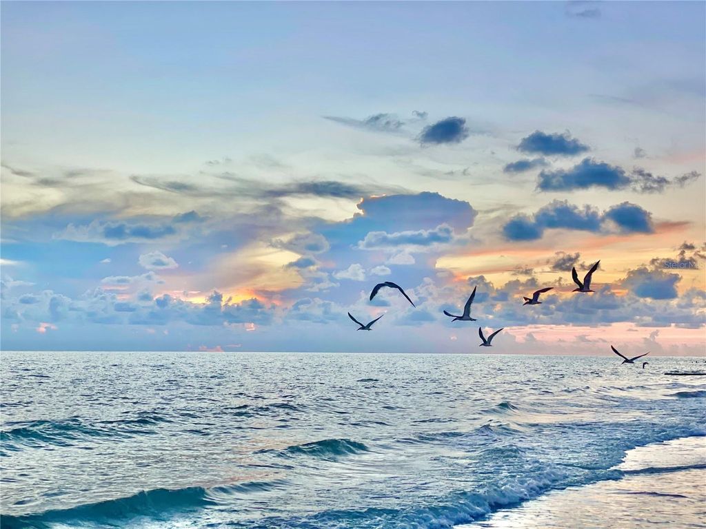 Photo of 13720 Gulf Boulevard #609, Madeira Beach, FL 33708 (MLS # O6339022)