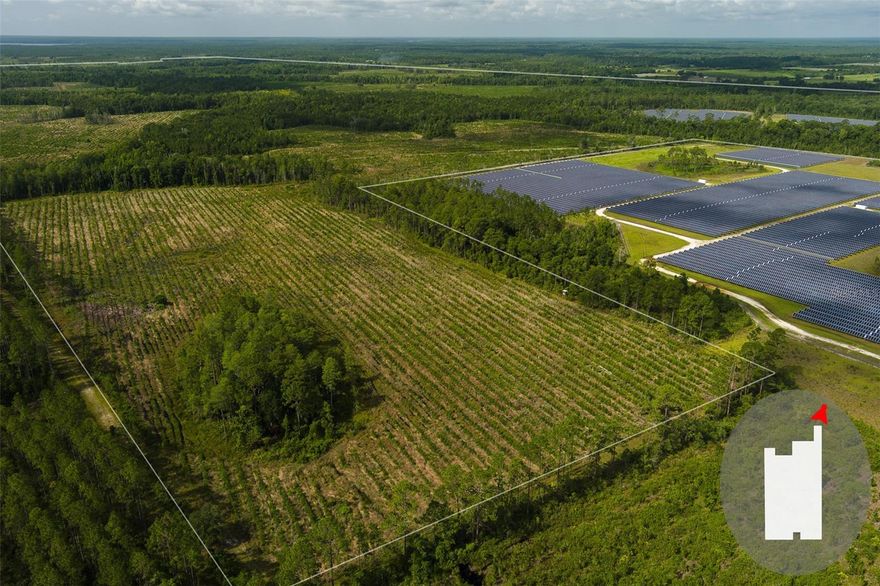 Over 1,000 acres in North Central Florida with thousands of acres of neighboring conservation land. Great recreational tract opportunity with the potential to sell a conservation easement if desired. Half of the property is currently within the Florida Forever boundary which is a valued conservation area if the new owner is interested in monetizing a conservation easement. Great location about 50 minutes from Gainesville and Ocala. Predominantly premerchantable planted pine that will be a recurring income source in years to come. Seller will retain 50 percent of all hard minerals, oil, and gas without right of entry.