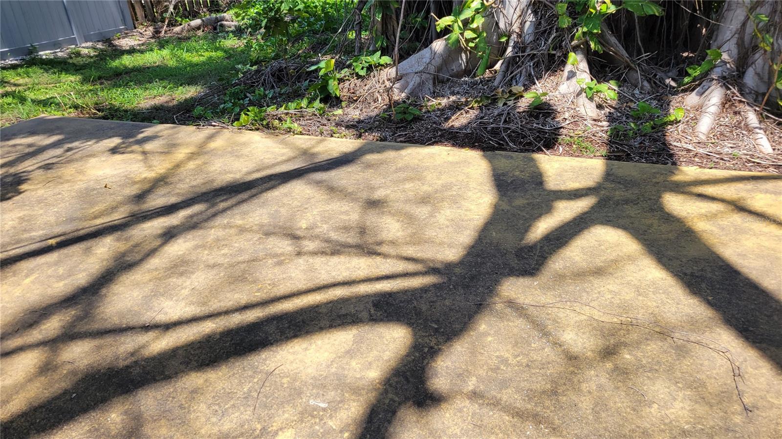 SAINT ARMANDS DIVISION JOHN RINGLING ESTS - Residential Lease