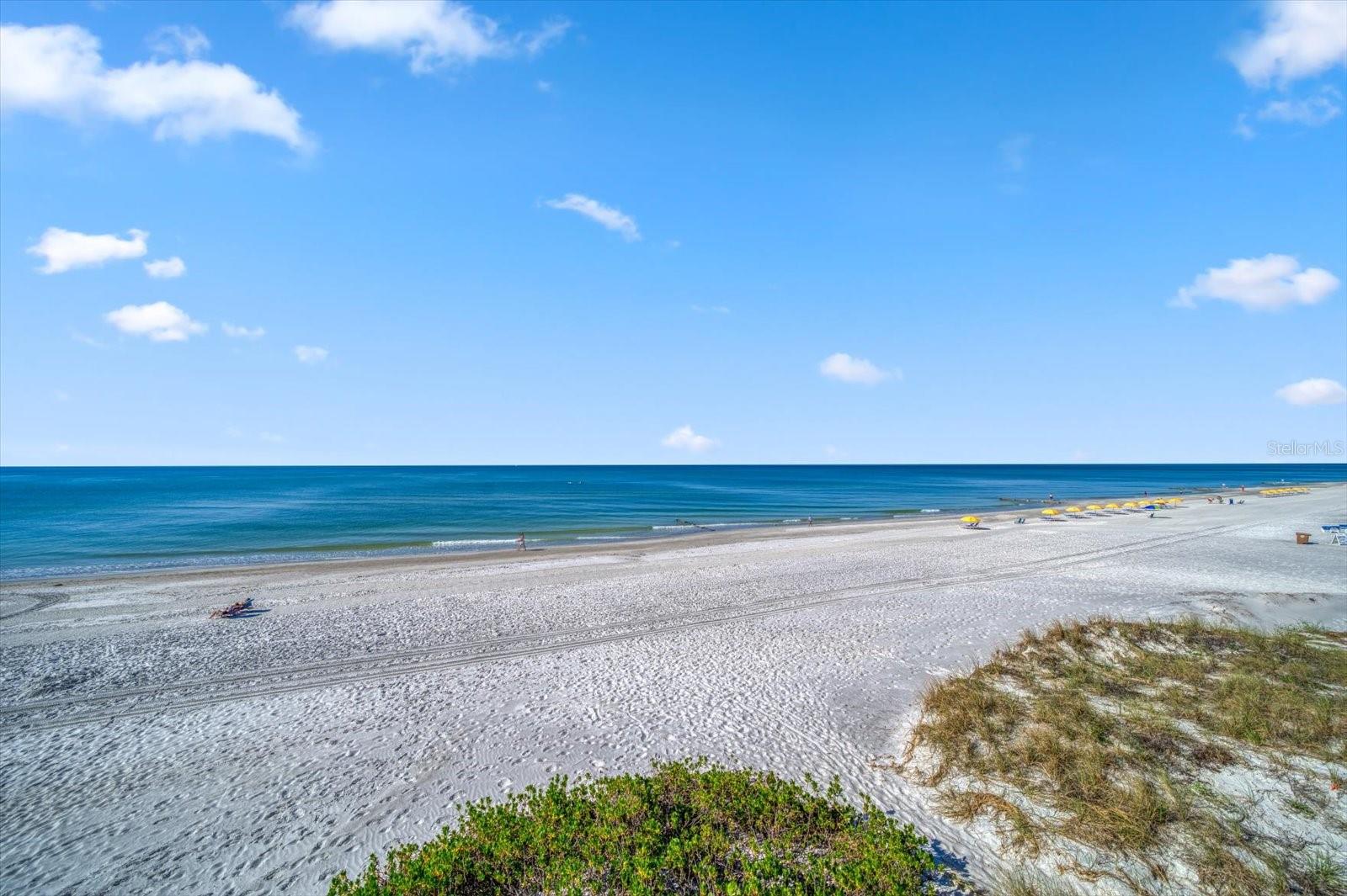 ARENA DE MADEIRA CONDO - Residential