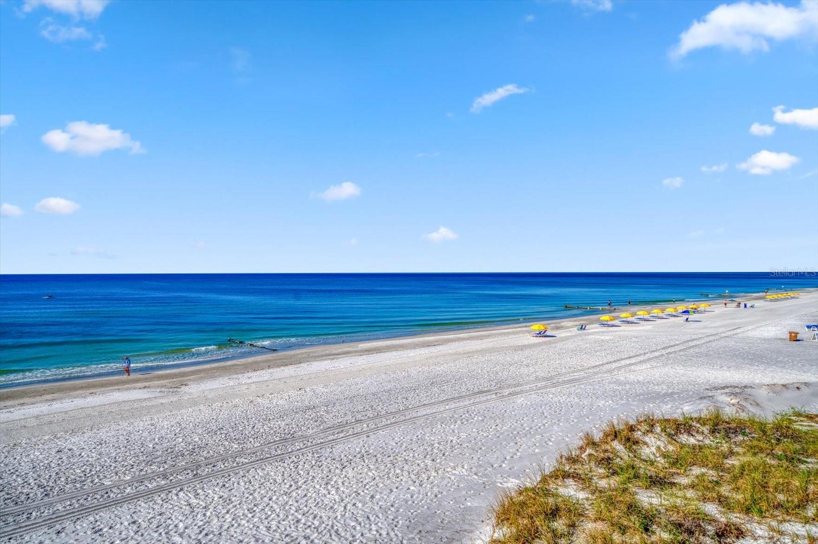 ARENA DE MADEIRA CONDO - Residential
