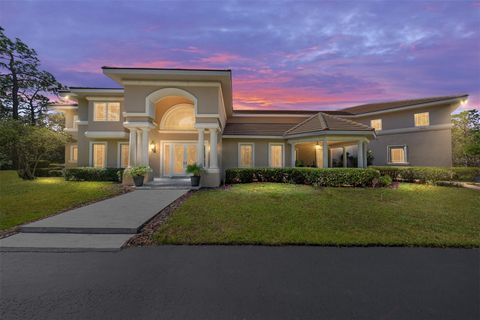 Tiny photo for 4160 W Bonanza Drive, Beverly Hills, FL 34465 (MLS # OM711700)