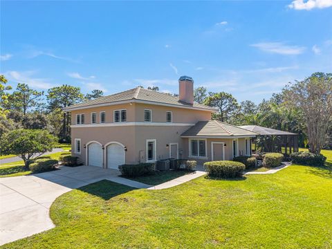 Tiny photo for 4160 W Bonanza Drive, Beverly Hills, FL 34465 (MLS # OM711700)