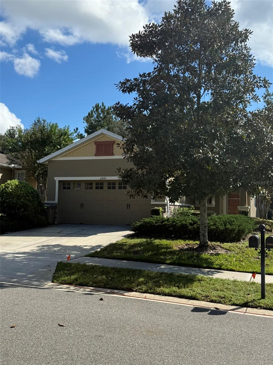 SULLIVAN RANCH REP SUB - Residential