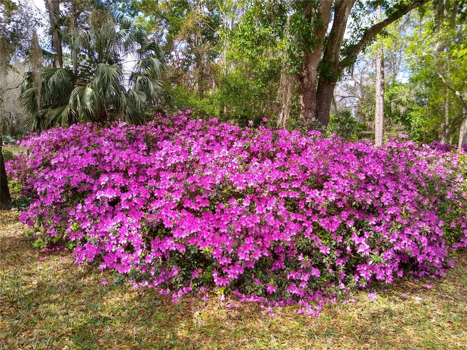 WEKIVA CAMP SITES REPLAT - Residential